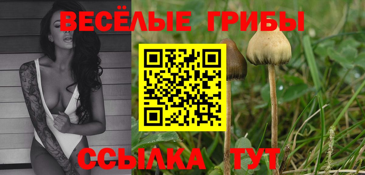 Псилоцибиновые грибы ЛСД  Вход с VPN  Усолье-Сибирское 