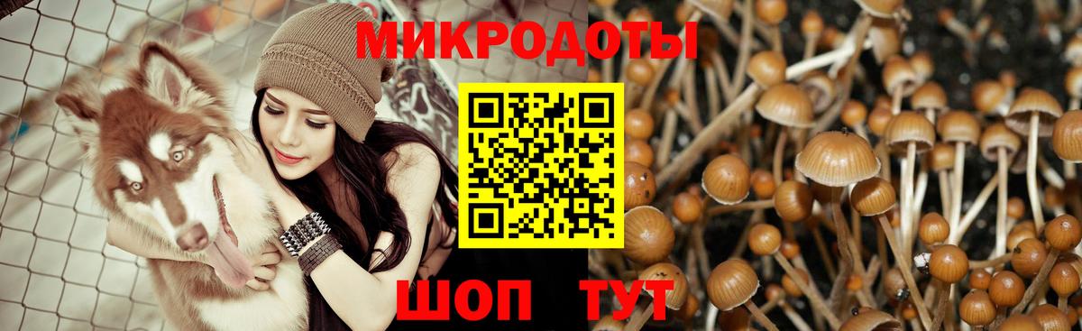 Псилоцибиновые грибы Magic Shrooms Усолье-Сибирское